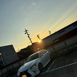 GS GRL11