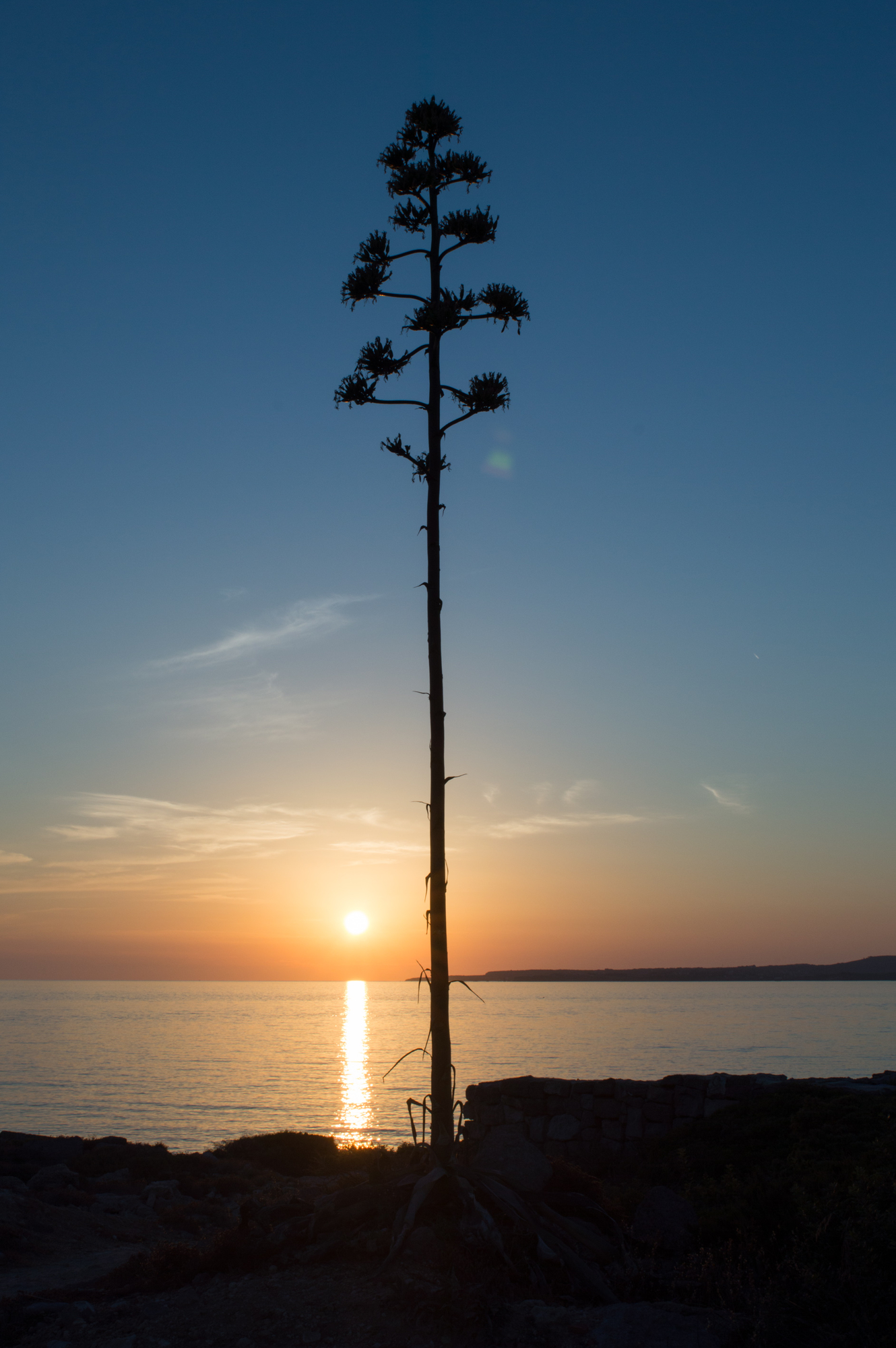 Uno al tramonto di Massi82