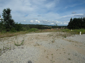 terrain à Sainte-Sigolène (43)