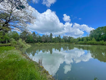 terrain à Langon-sur-Cher (41)