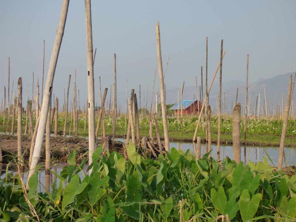 lac inle