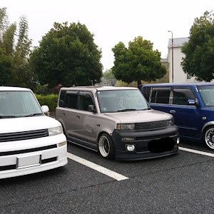 bB NCP31