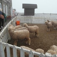 清境山水緣蔬素食館