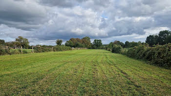 terrain à Mesnil-Saint-Père (10)