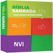 Biblia Sagrada NVI Emanuel