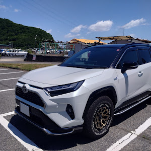 RAV4 AXAP54