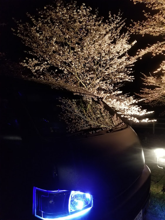 ハイエースバンのDIY・夜桜コラボ・貼り貼りー(^-^)・細かくて死にそうになった・令和初いじりに関するカスタム事例の投稿画像9枚目