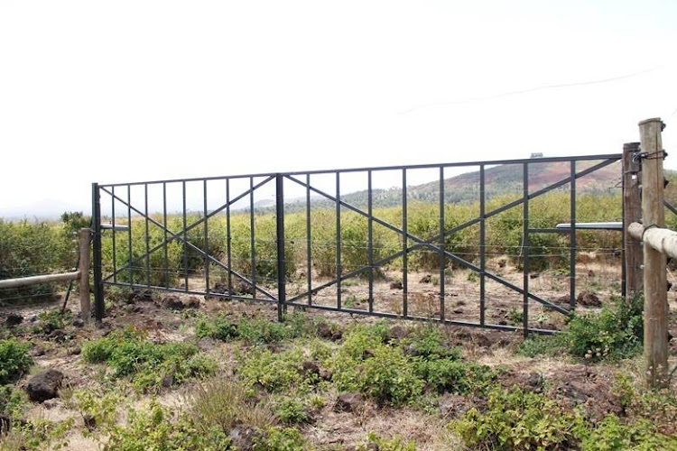 An Automatic gate in Lower Imenti.