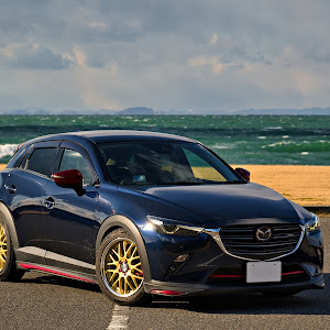 CX-3 DKEFW