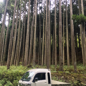 ハイゼットトラック
