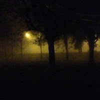 Nebbia Nella Notte di 