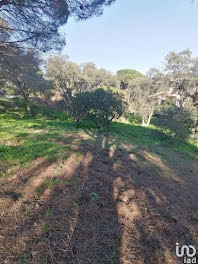 terrain à Sainte-Maxime (83)