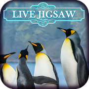 Live Jigsaws - Penguin Play  Icon