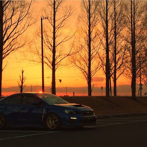 WRX STI VAB