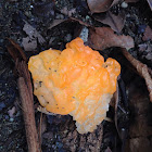 Witch's Butter