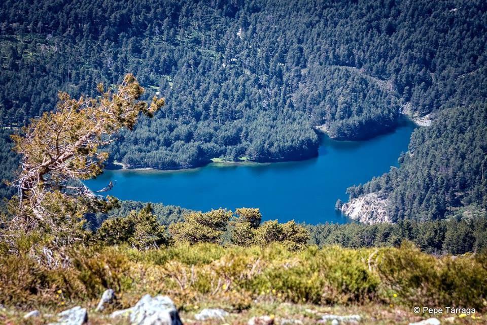 La imagen puede contener: Ã¡rbol, planta, cielo, montaÃ±a, exterior, naturaleza y agua