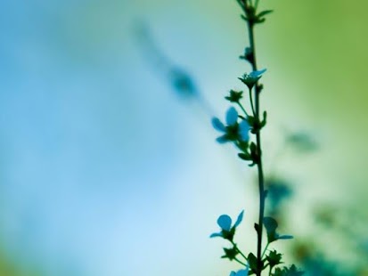 download Lock Screen Wallpapers free