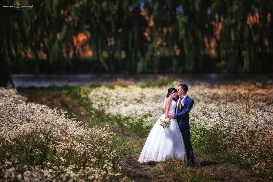 結婚式の写真家Andrey Levickiy (lion78)。2015 8月26日の写真
