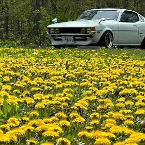 セリカ リフトバック2000GT