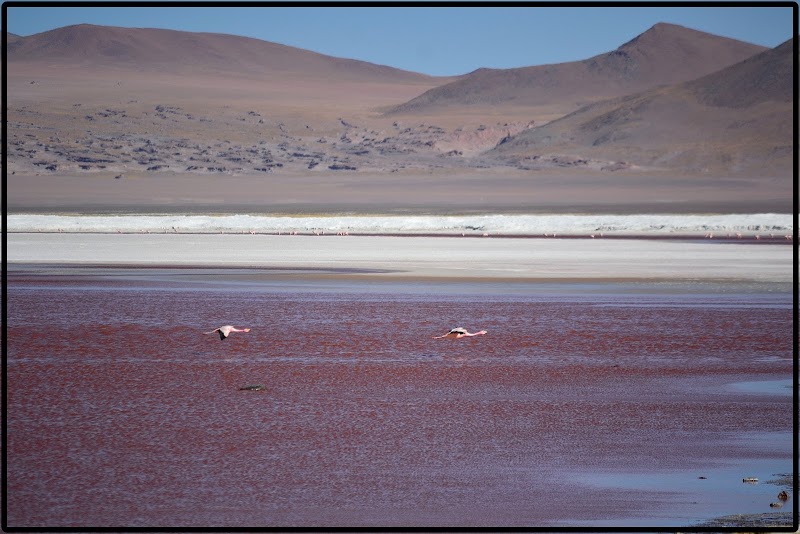 TOUR SALAR UYUNI I. EL ASOMBROSO PARQUE EDUARDO AVAROA - DE ATACAMA A LA PAZ. ROZANDO EL CIELO 2019 (33)