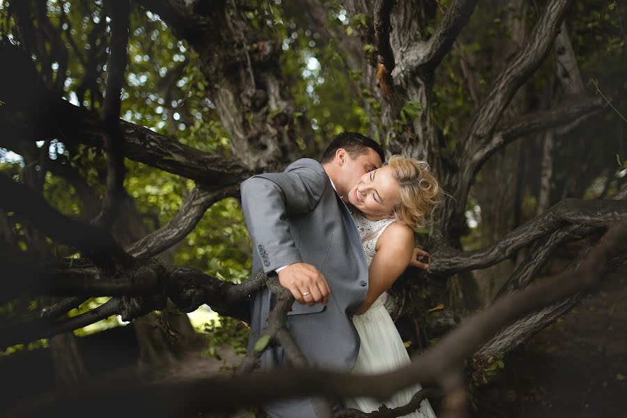 Wedding photographer Michał Zięba (zieba). Photo of 2 September 2016