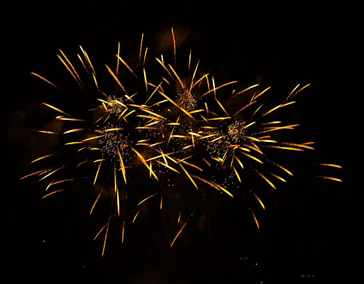 Fuochi d'artificio  di DanielaL