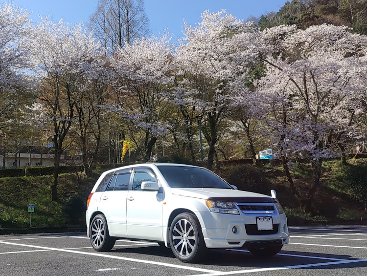 エスクードの桜・サクラと愛車・桜とコラボ・目指せPickUpCarsに関するカスタム事例の投稿画像1枚目