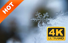 Snowflake HD Wallpapers New Tabs Theme small promo image