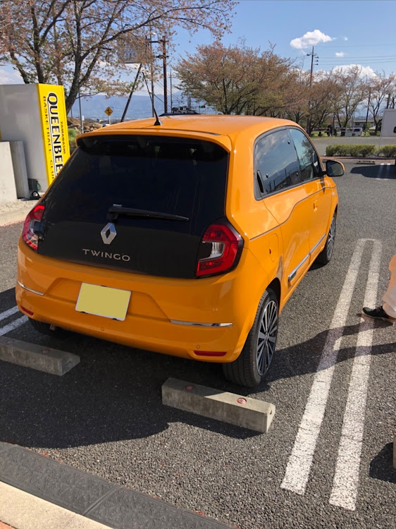 メガーヌ ハッチバックのルノー・#トゥインゴMT・COX ボディーダンパーに関するカスタム事例の投稿画像1枚目