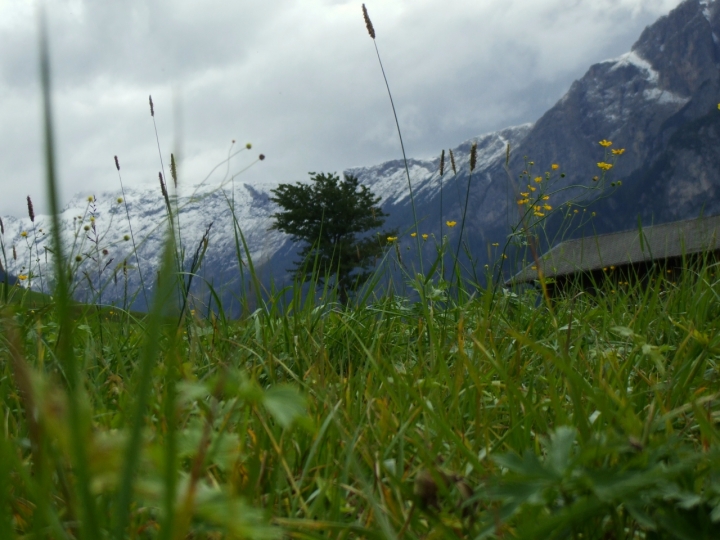 Paesaggio di Montagna di federicoalbicocco