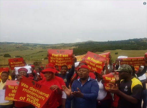 EFF members march on Ramaphosa's cattle farm Picture: via TWITTER