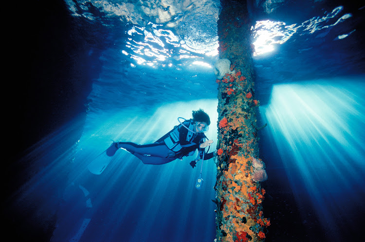 World famous deep sea diver and Rolex ambassador Dr Sylvia Earle