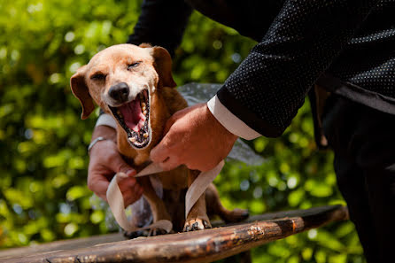 Fotografo di matrimoni Daniele Pignoli (danielepignoli). Foto del 17 giugno 2015