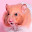 Hamster Wallpapers Theme New Tab