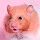 Hamster Wallpapers Theme New Tab