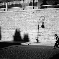 ombre sull'ARA PACIS di 