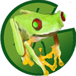 Tina, the jumping frog Apk