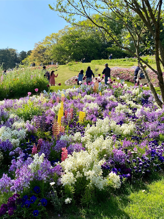 エクストレイルのドライブ・公園・花に関するカスタム事例の投稿画像3枚目