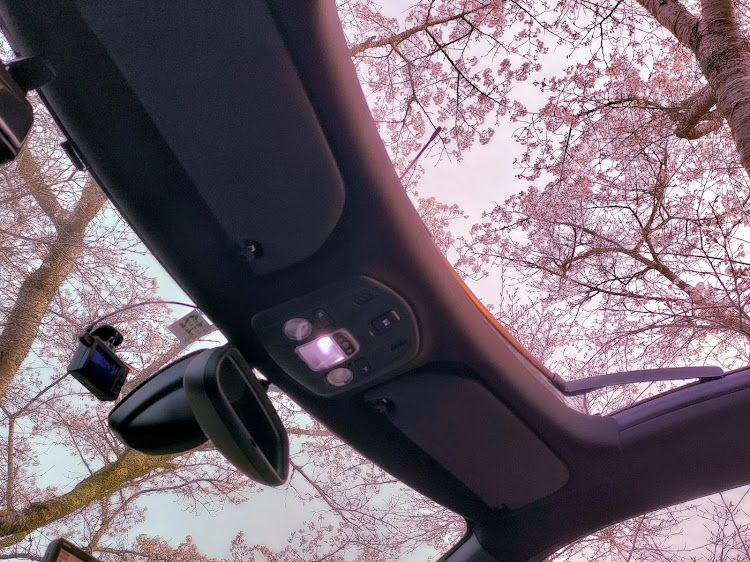 DS3 カブリオのサクラと愛車・桜並木と愛車・奈良県宇陀市・早朝ドライブ・墨坂神社に関するカスタム事例の投稿画像4枚目