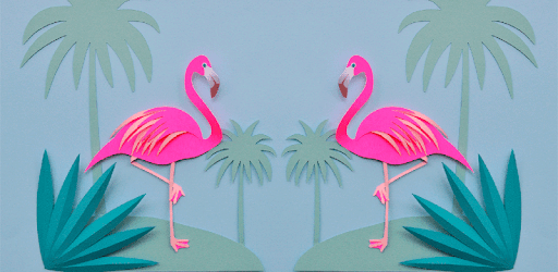 Pink Flamingo Wallpaper On Windows Pc Download Free 1 0 Com Andromo Dev App8693