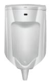 Wall-mounted urinal