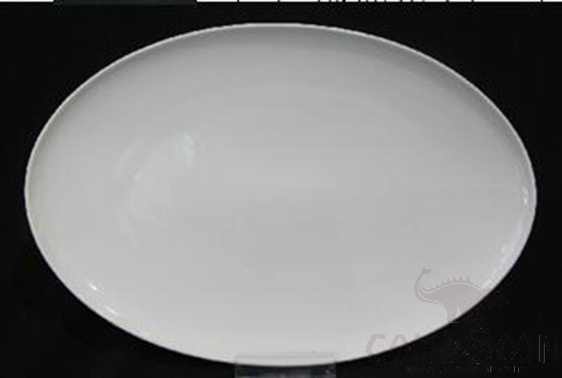G157 Series 16" Fish Plate  - White
