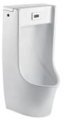 Wall-mounted urinal