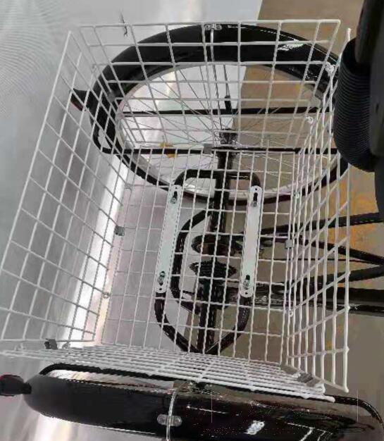 Bicycle Basket(Used for Sku S10090001 Tricycle)