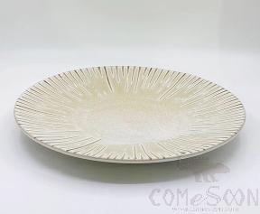 Orion Series 12.25" New Plate