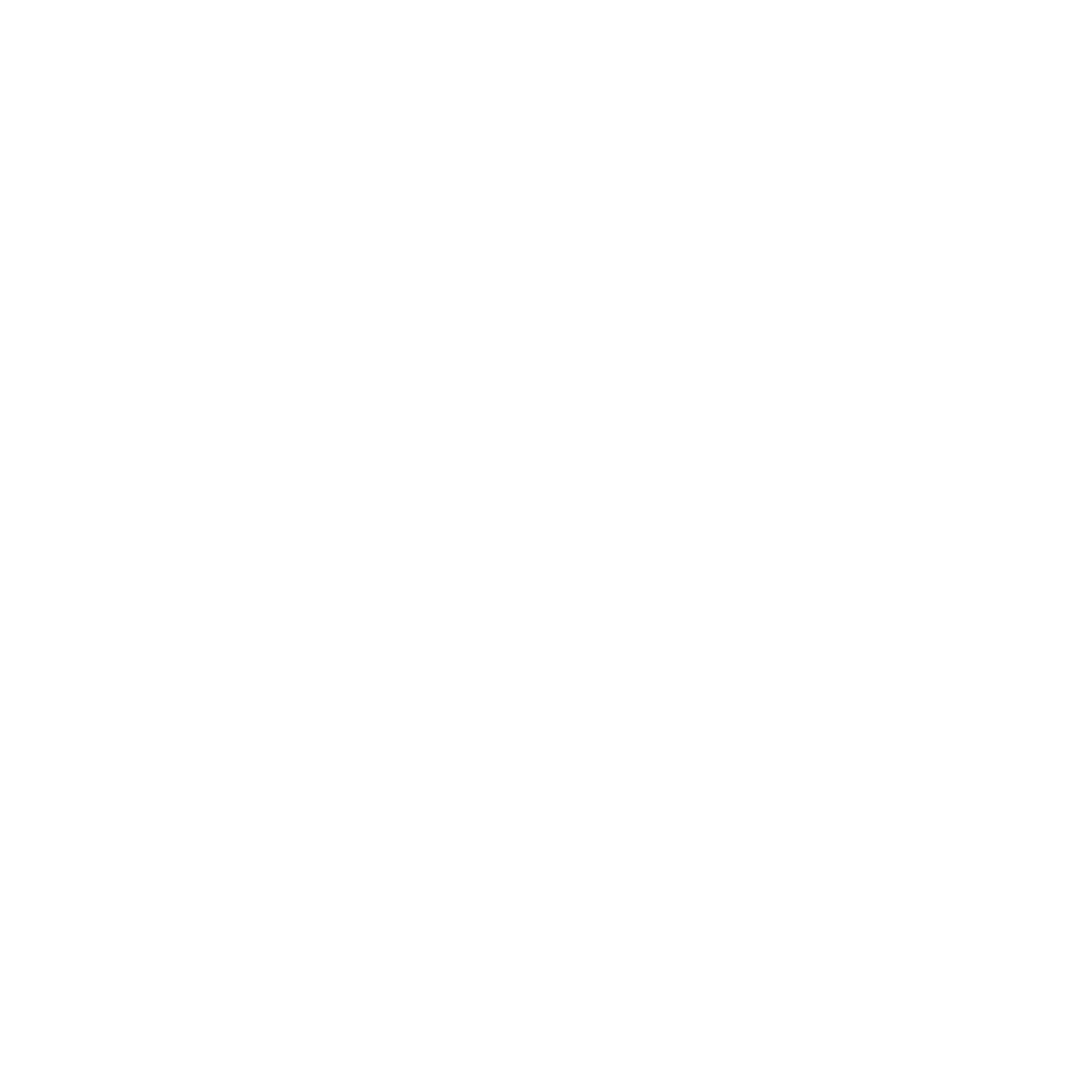 Capacity Icon