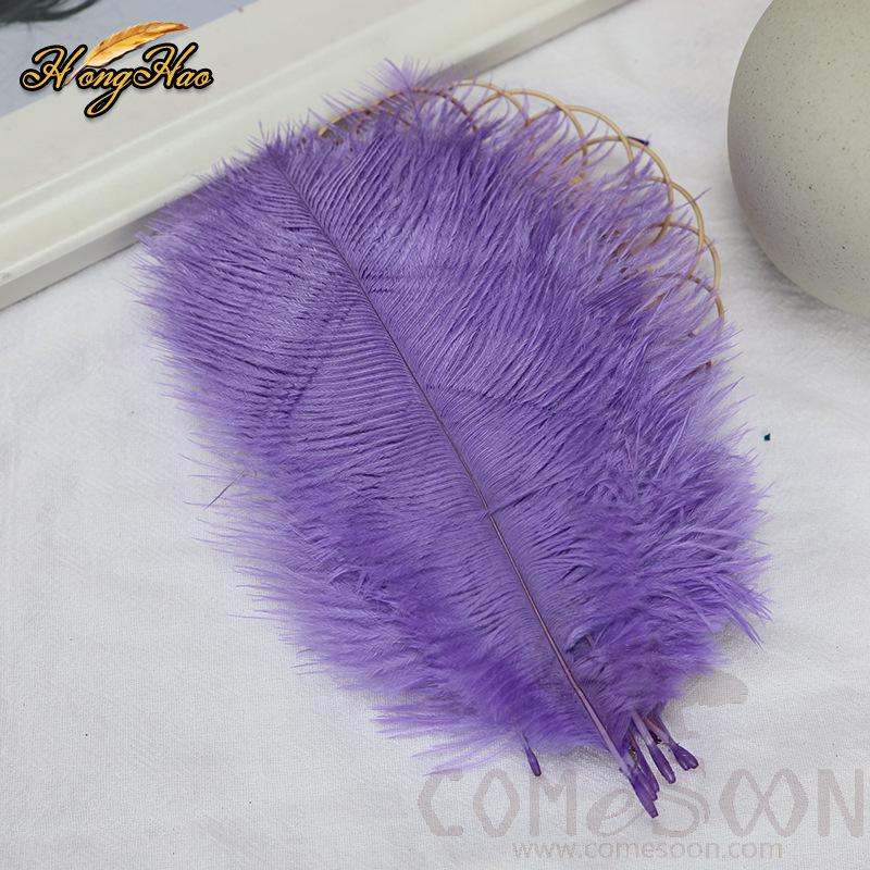 Colored Ostrich Feathers, L15-20 cm