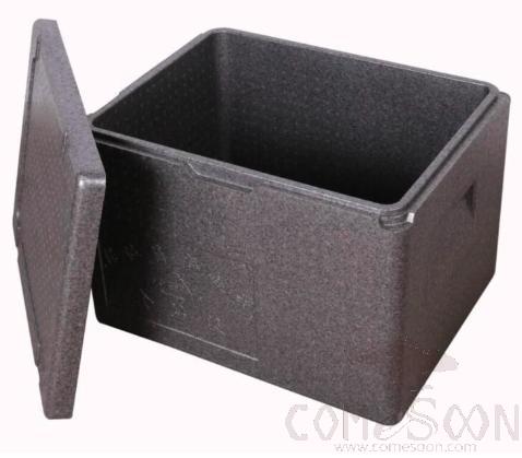 Black Insulated Box, with Electrophoretic Hinges, PP, 108L
