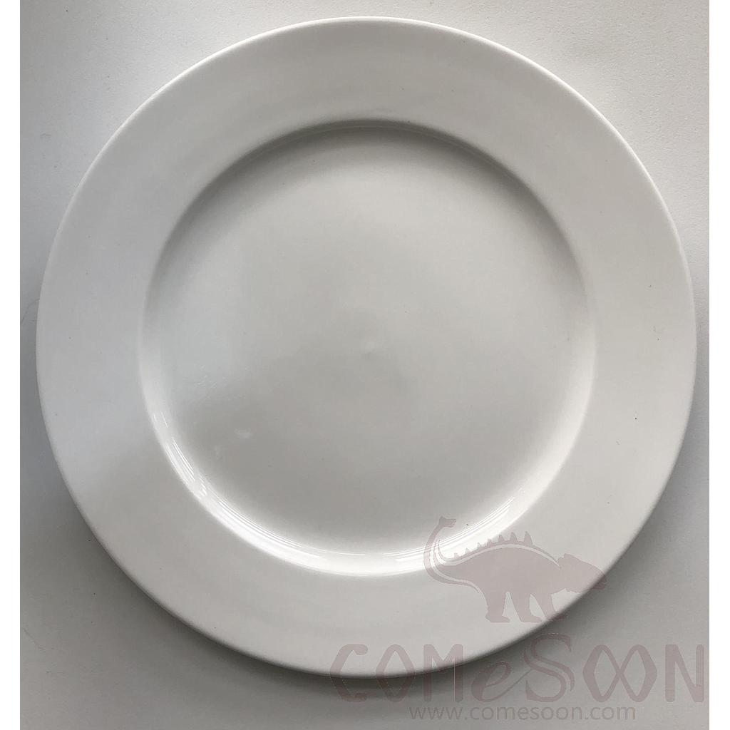 10" Flat Plate