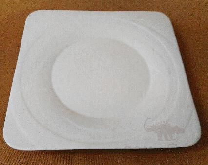 Square plate round 10 inches